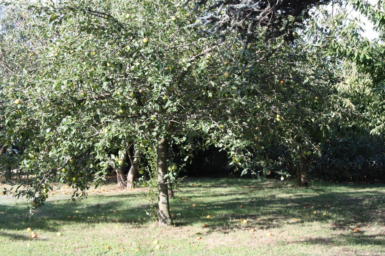 La Villa Blanc (Adults Only) Conques-sur-Orbiel Exteriör bild